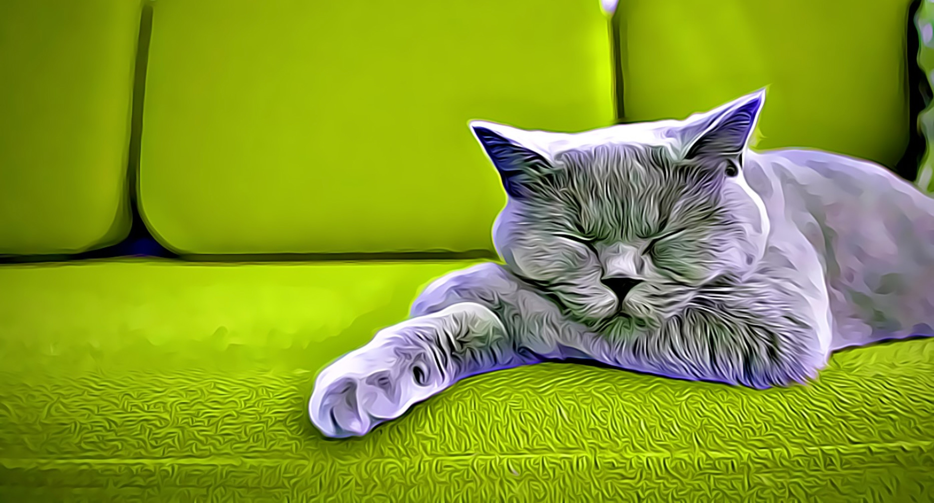 About Pet Derm Pet Dermatologist In Chicago, IL 60610